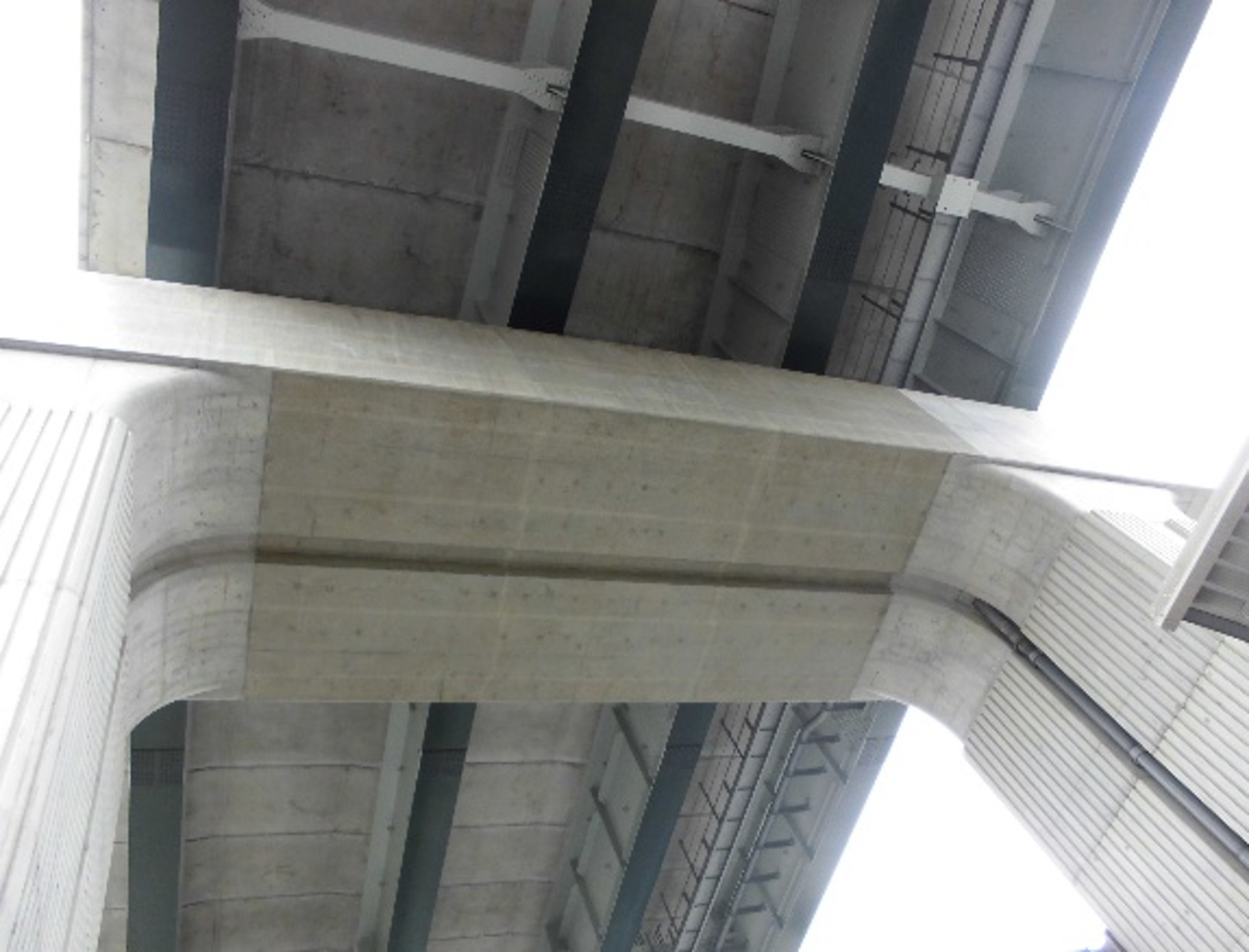 スケルトン防災コーティング