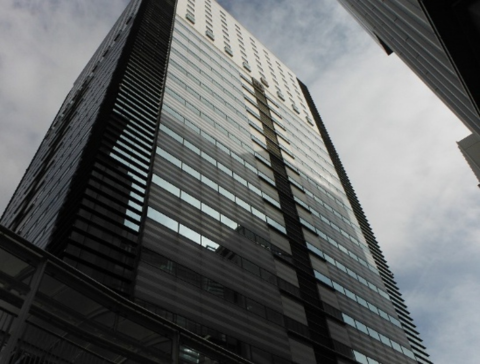 マクハリニュートン