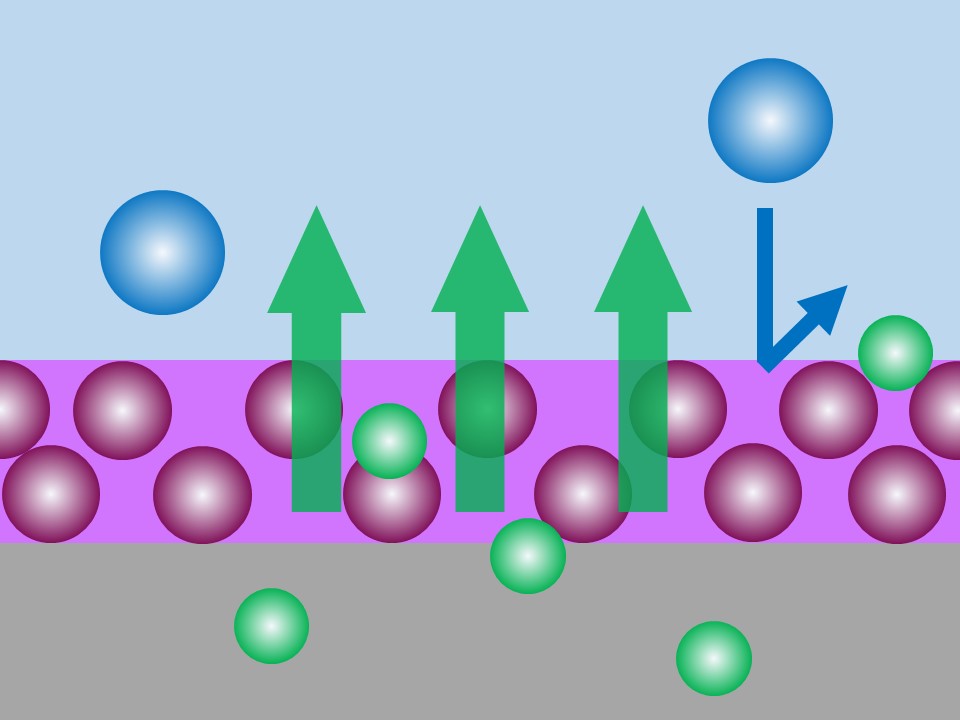 mbsクリアガード