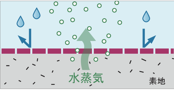 MBSデカデックス